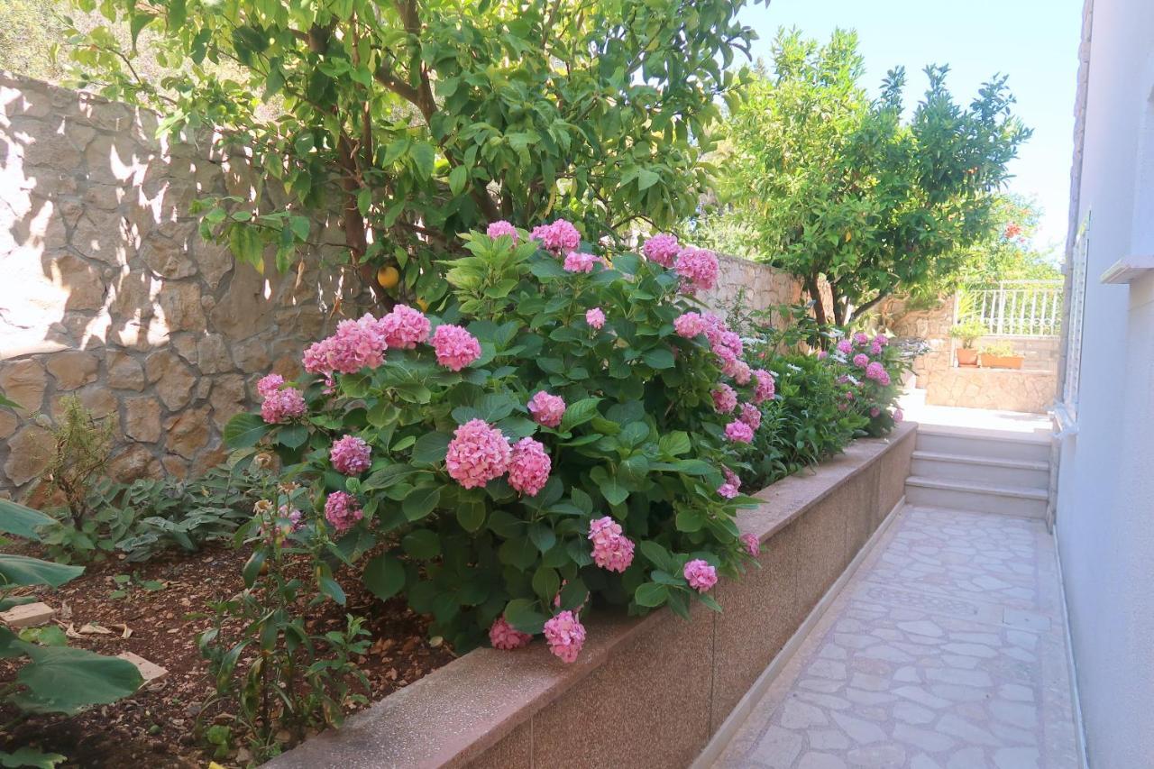 Cvita Apartments Τρογκίρ Εξωτερικό φωτογραφία